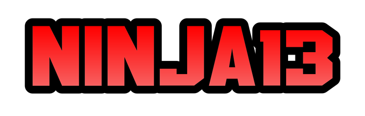 NINJA13
