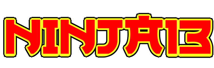 NINJA13